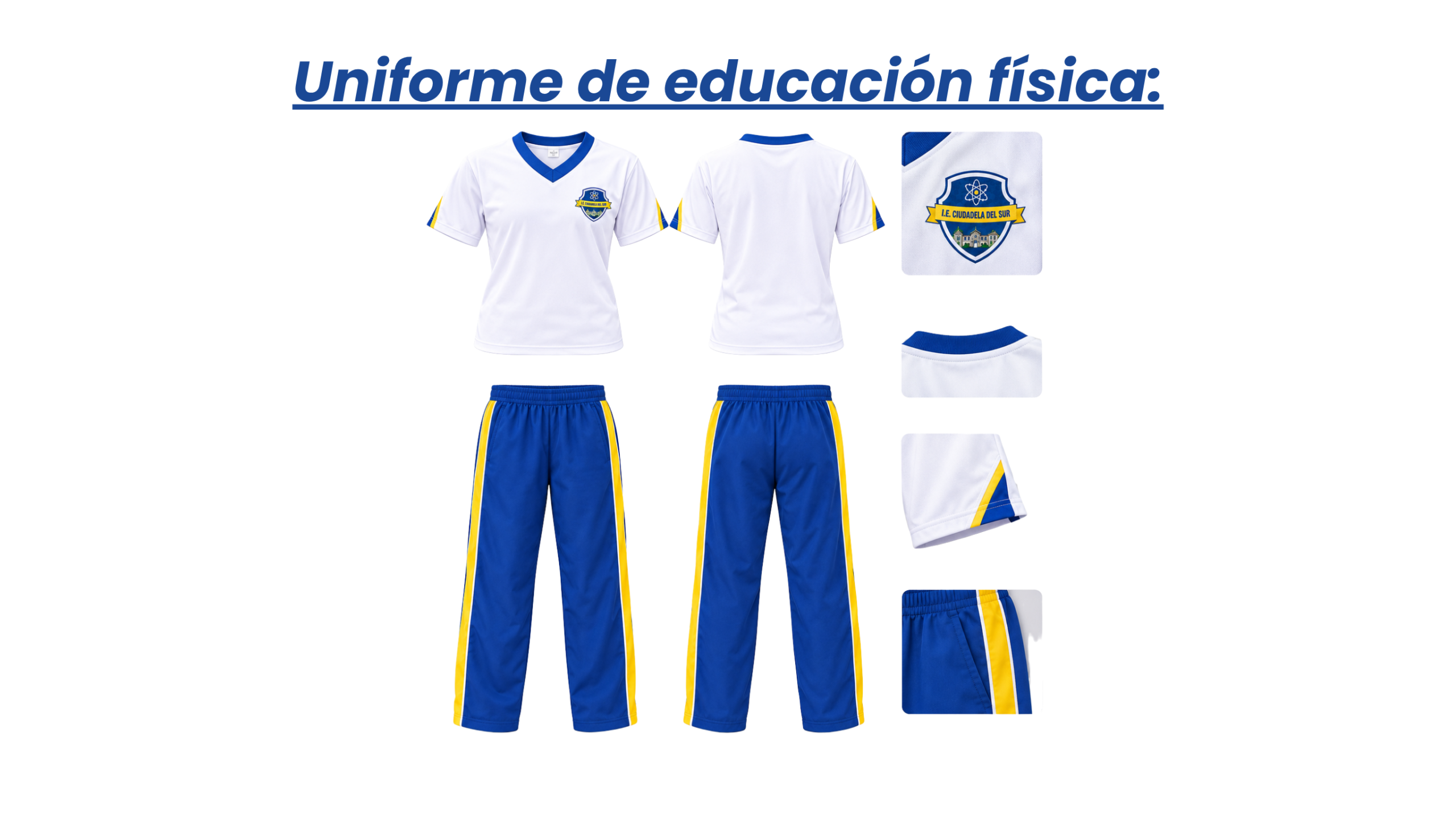 DISEÑOS PAGINA WEB (24)